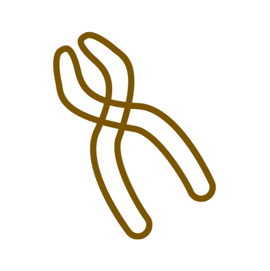 倉敷市の 親知らずの抜歯・治療